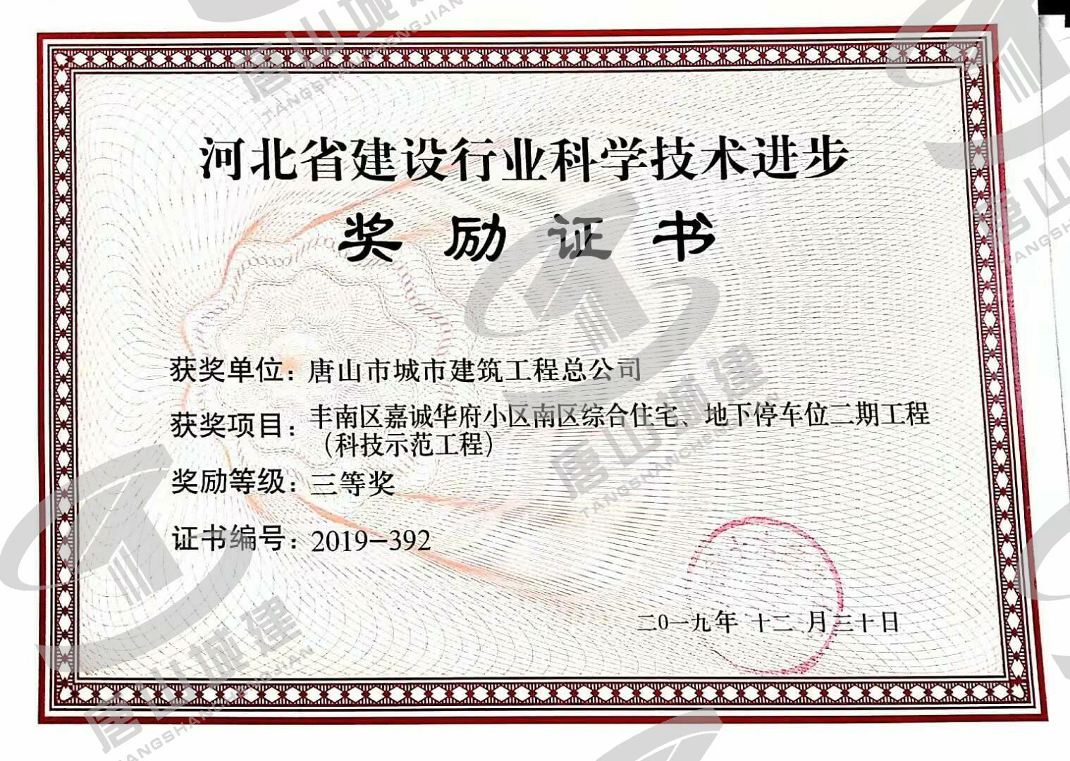 组织机构