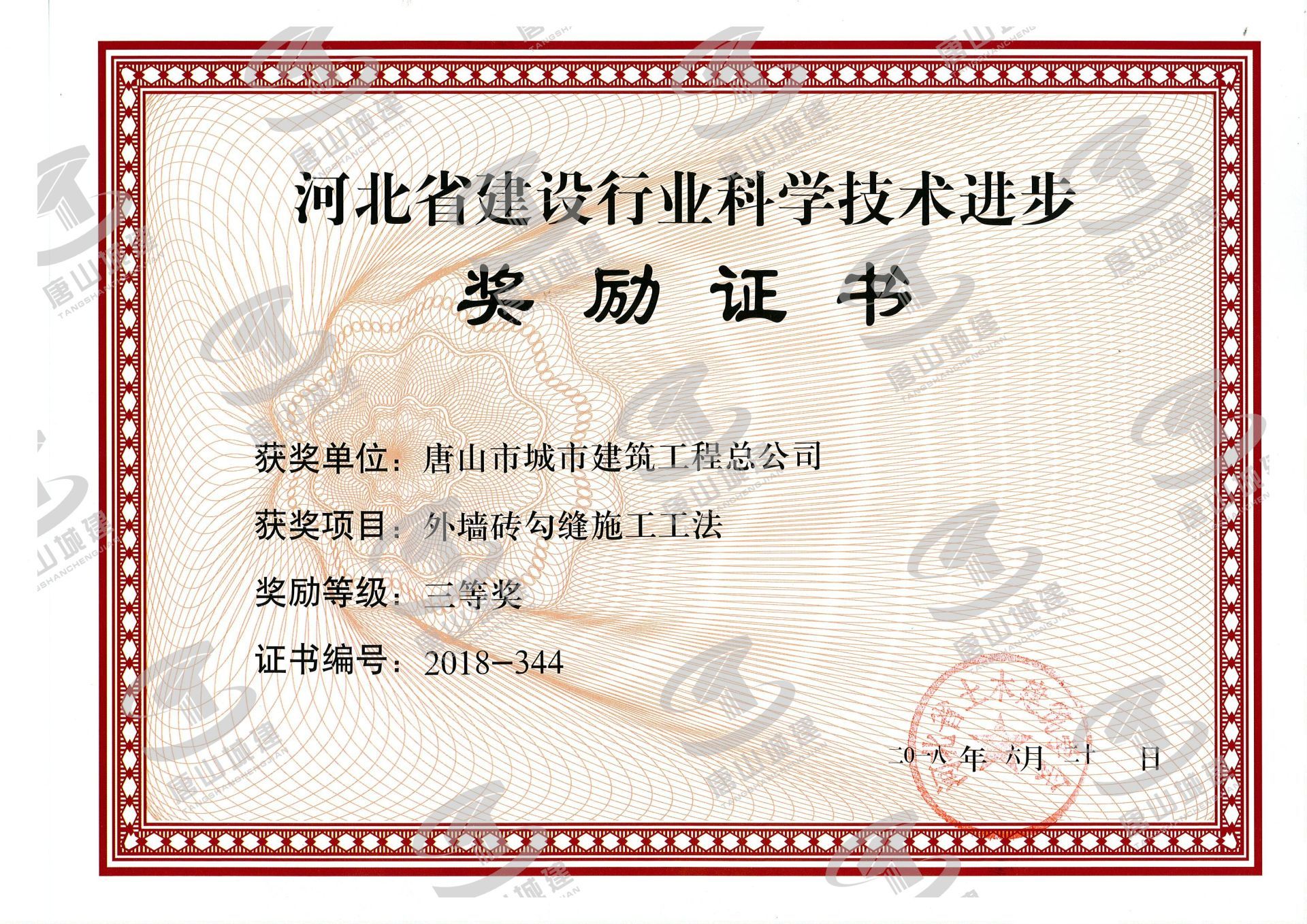 星空xk官网登录入口最新版下载董事会