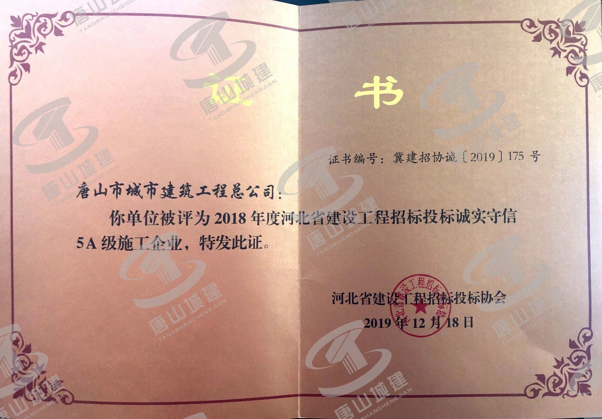 星空XK唯一官方网站优惠活动荣誉